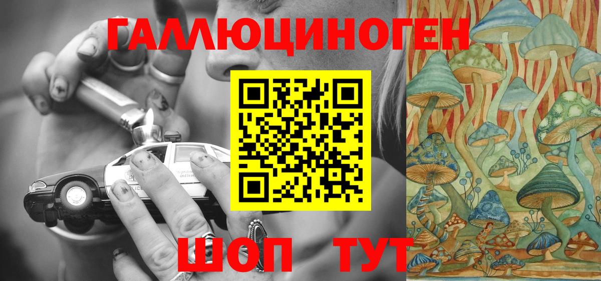 Кирово-Чепецк  Псилоцибиновые грибы GOLDEN TEACHER  купить закладку  Галлюциногенные грибы GOLDEN TEACHER  Вход с VPN 
